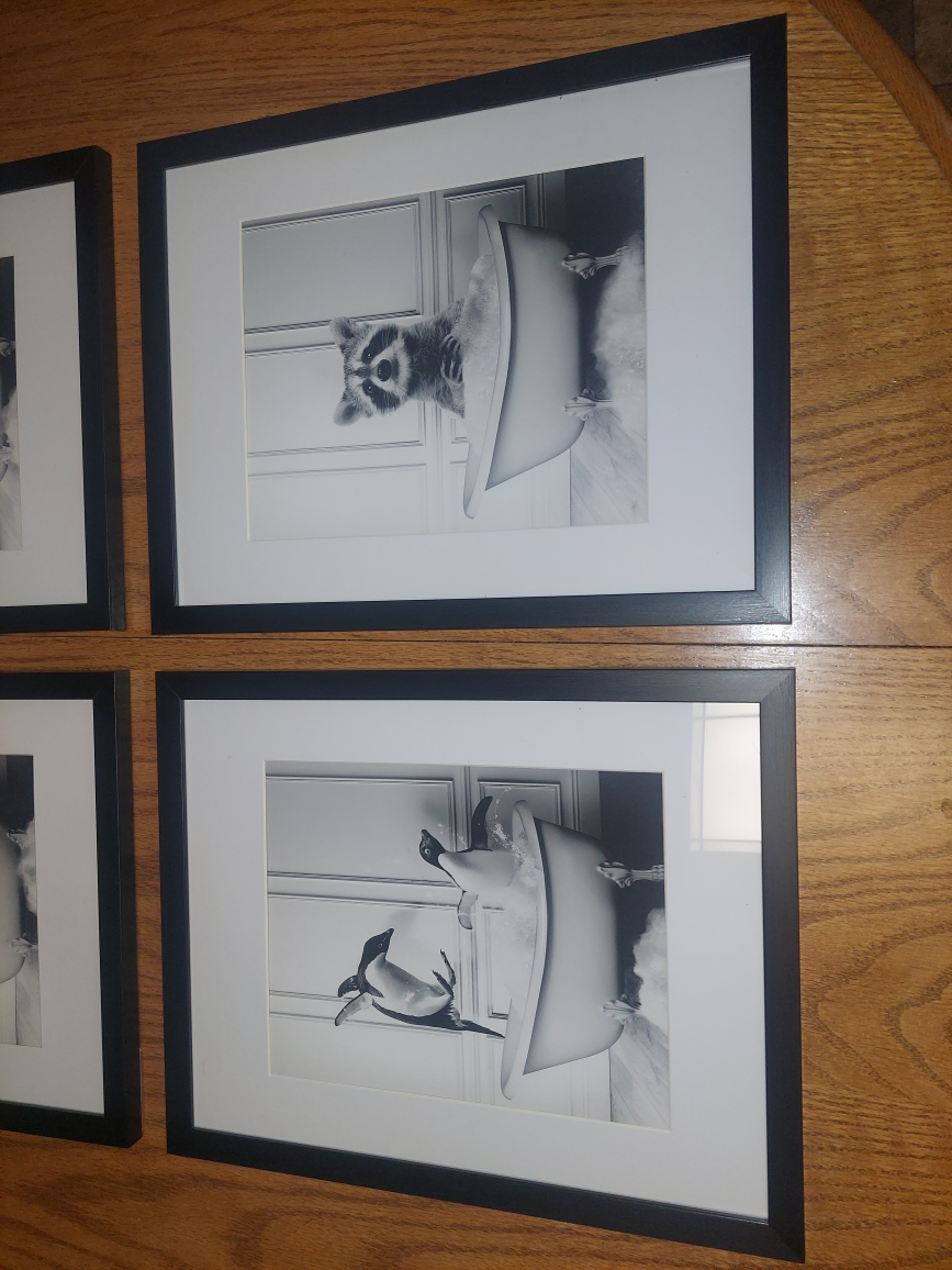 Framed Bathroom pictures  - photo 3