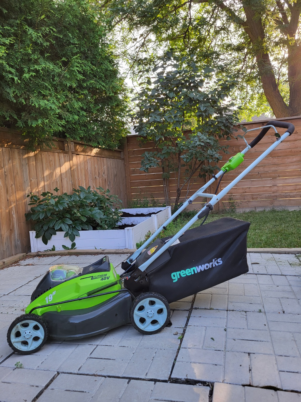 Greenworks 19-inch Electric Lawn Mower thumbnail