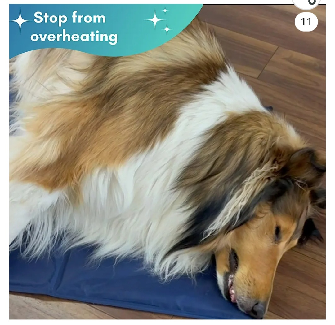 Brand New Cooling Mat for Dogs Cats Pets - photo 5