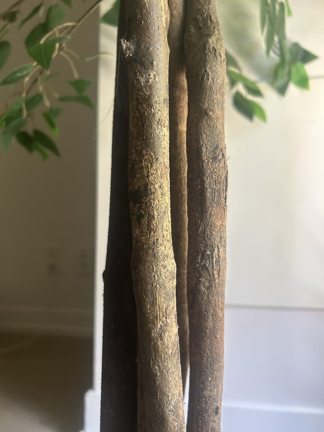 6 ft. Ficus Artificial Tree and Palm, Greenery Realistic - photo 3