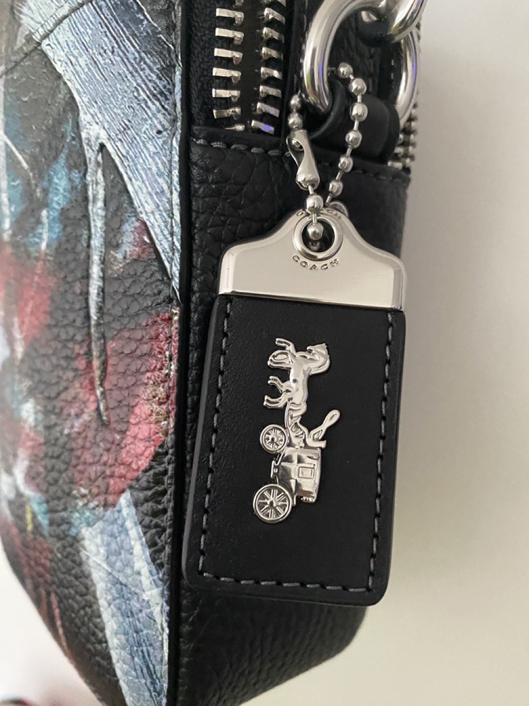 Coach X Mint + Serf Rogue Crossbody 12 image indicator(2)