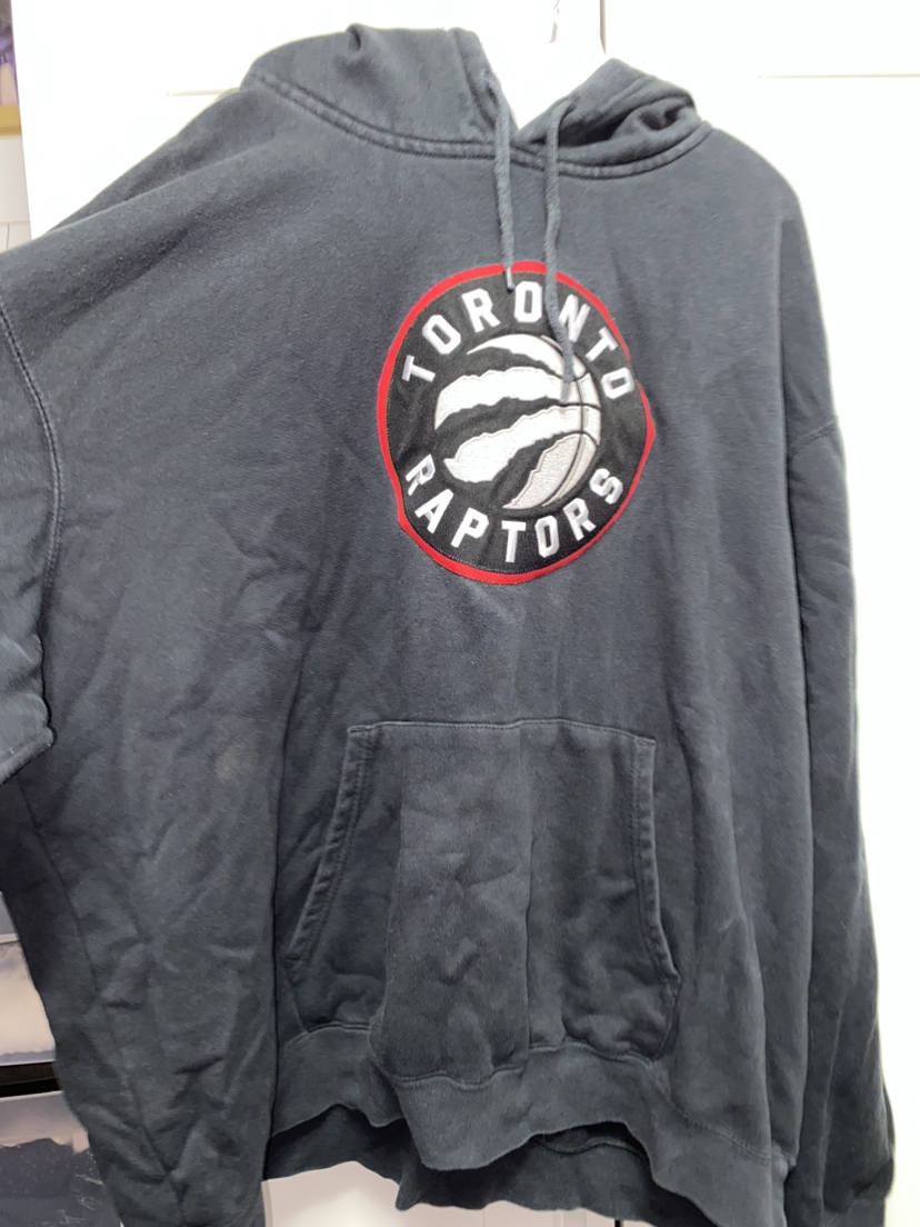 Toronto Raptors Hoodie thumbnail