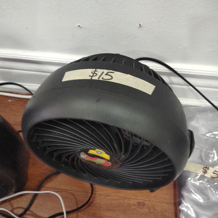 fan (Havells)