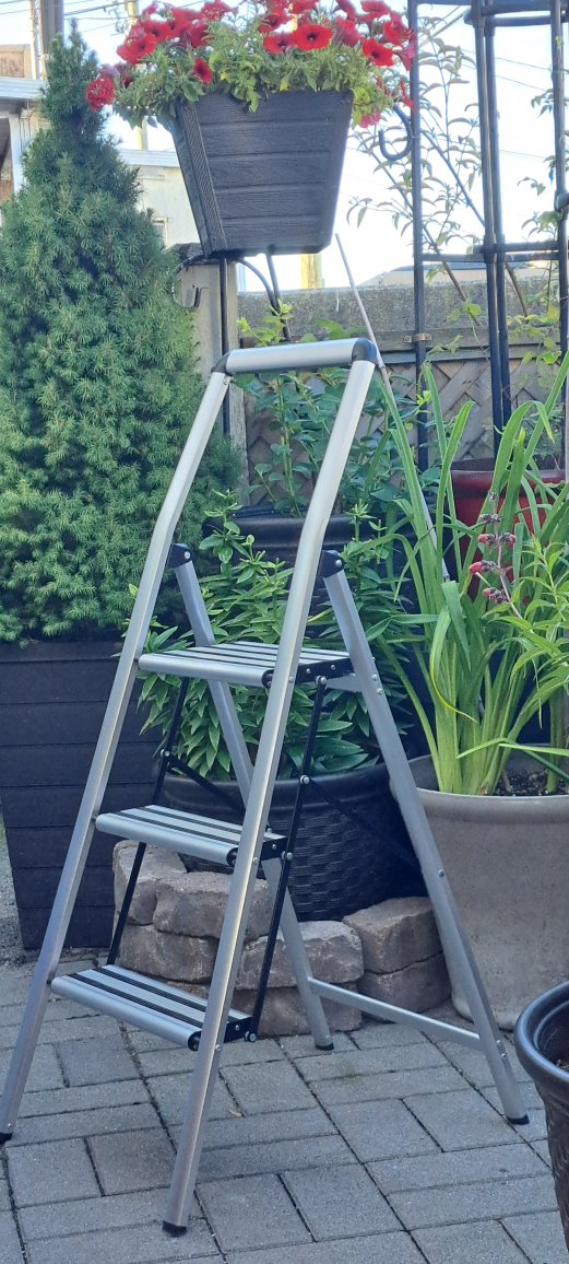Step Ladder 