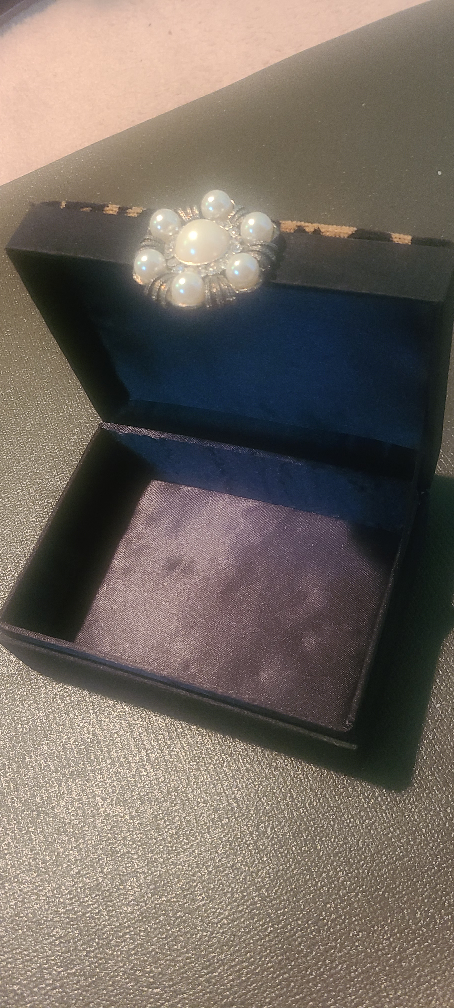 Leopard print jewellery box image indicator(3)