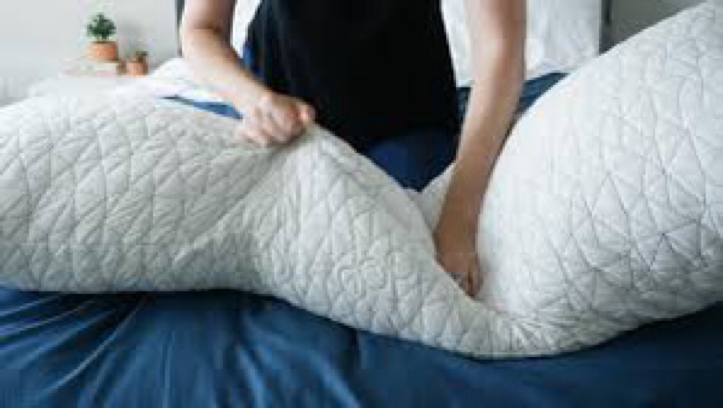Coop Body Pillow - photo 2