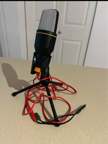 microphone image indicator(4)