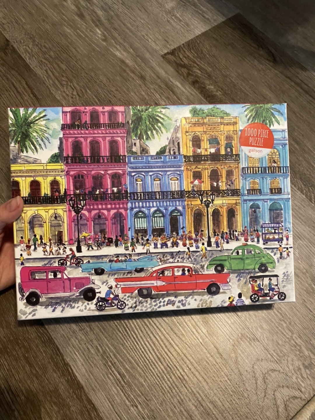 1000 piece puzzle thumbnail