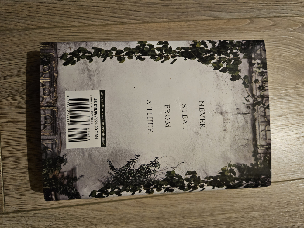 Book - The Court of Miracles image indicator(3)