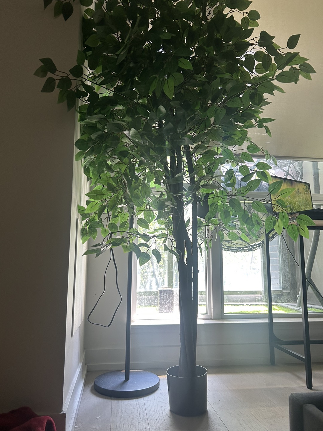 6 ft. Ficus Artificial Tree and Palm, Greenery Realistic - photo 4