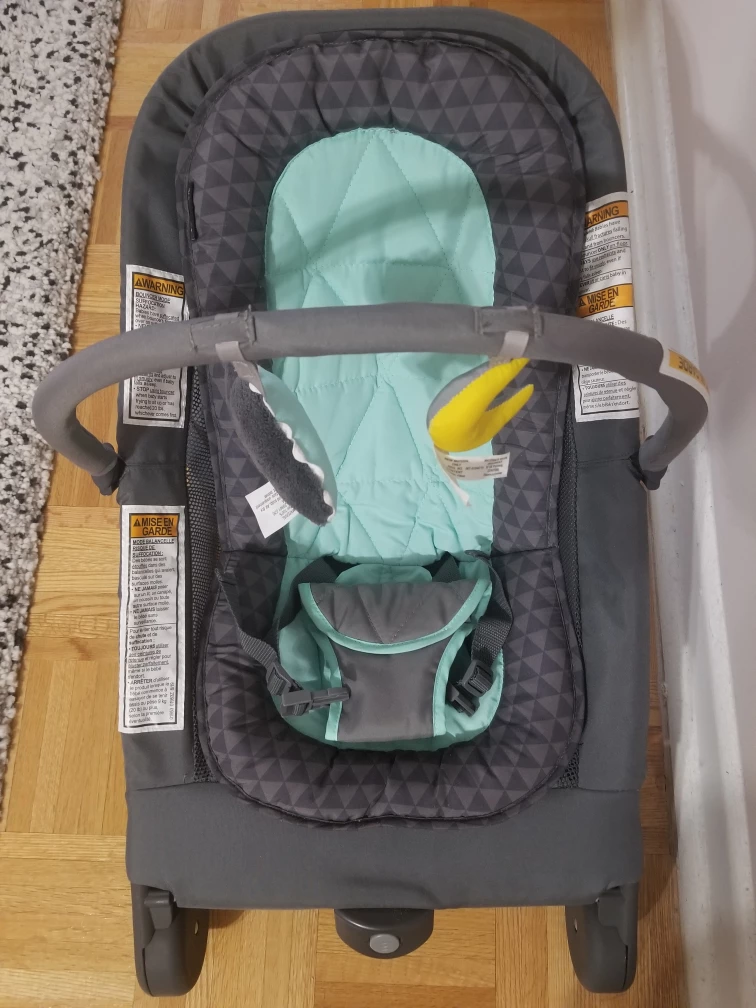 2-in-1 Bouncer and Rocker Duo thumbnail