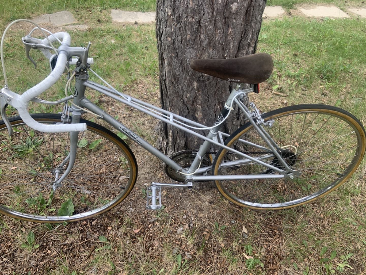 vintage medalist  10 speed 27 inches wheels image indicator(2)