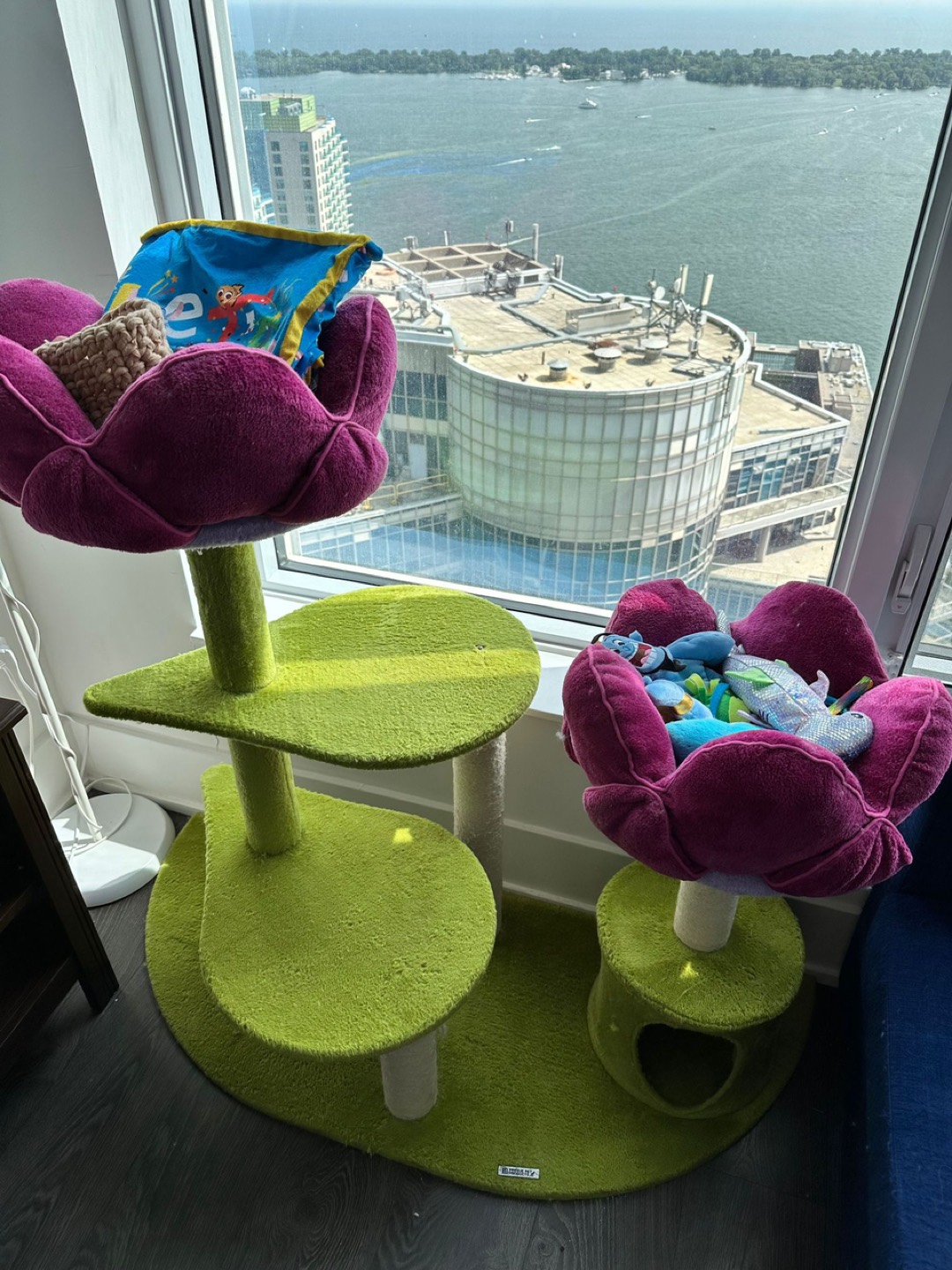 Flower cat condo - photo 3