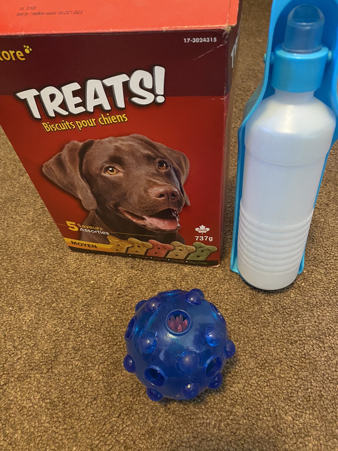Dogs stuff #freecycle thumbnail