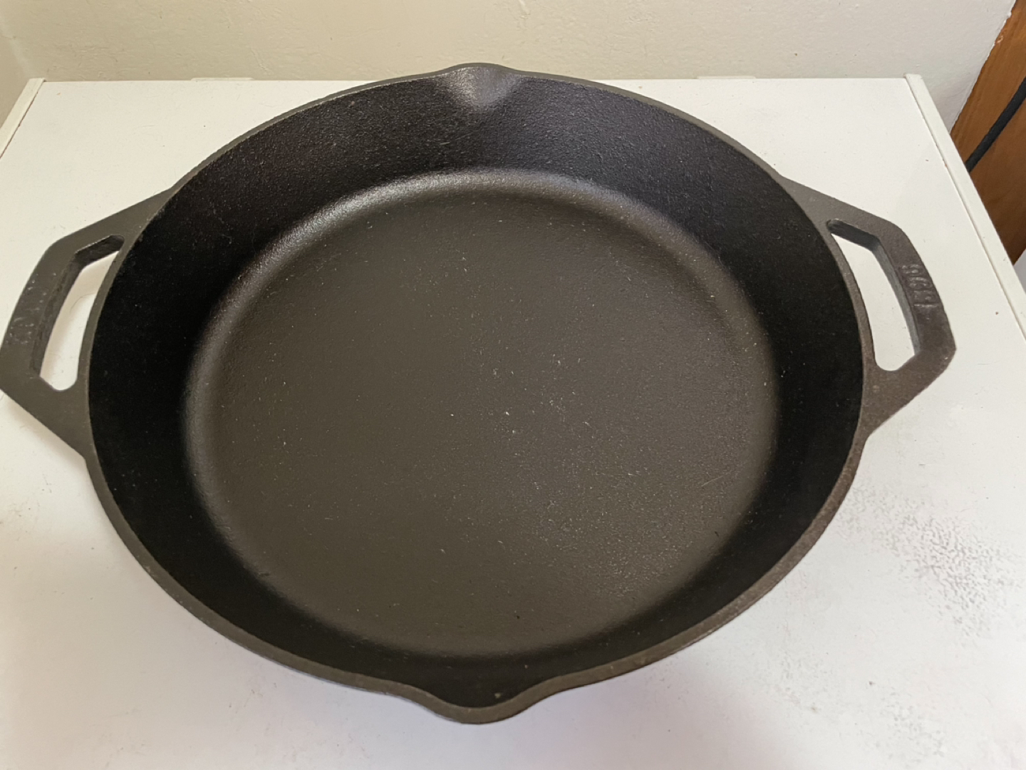 Lodge large double handle pan