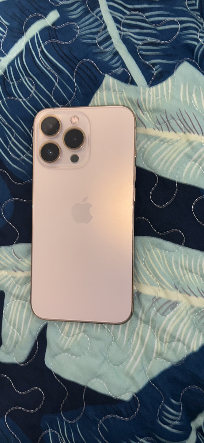 iPhone 13 Pro