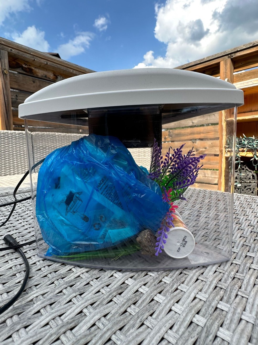 Small fish tank with accessories thumbnail