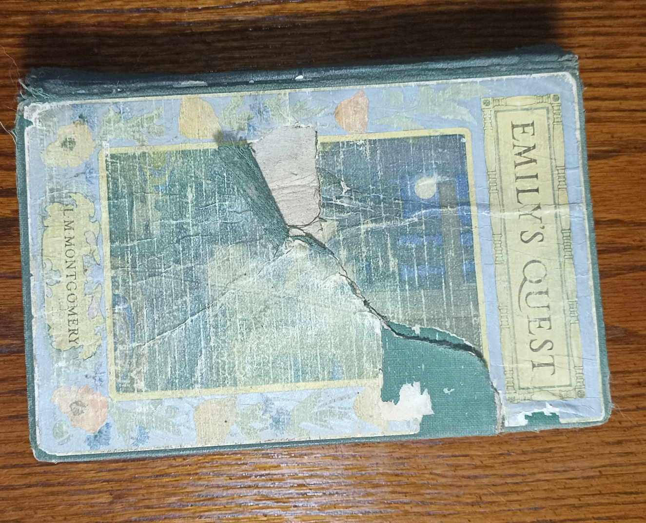 Vintage Emily's Quest book