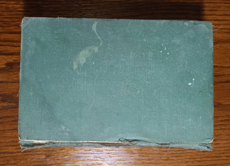Vintage Emily's Quest book - photo 2