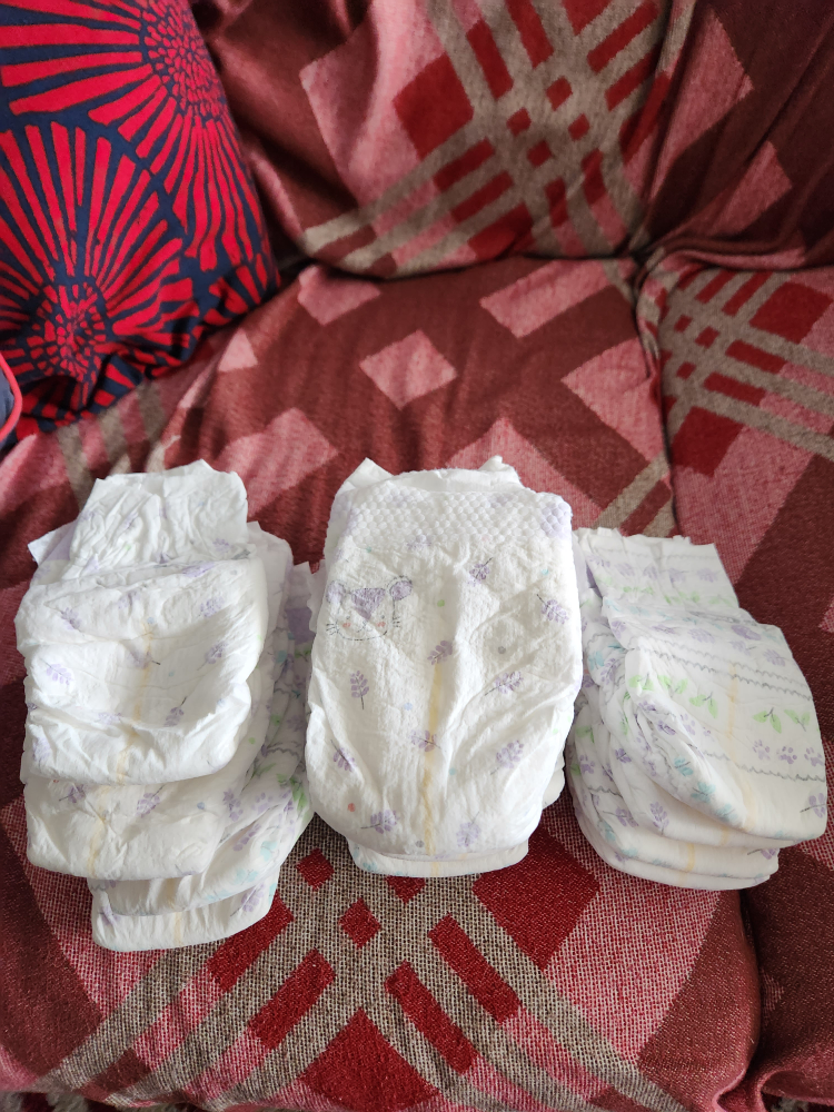 Fourteen Size 2 Kirkland Diapers #freecycle thumbnail