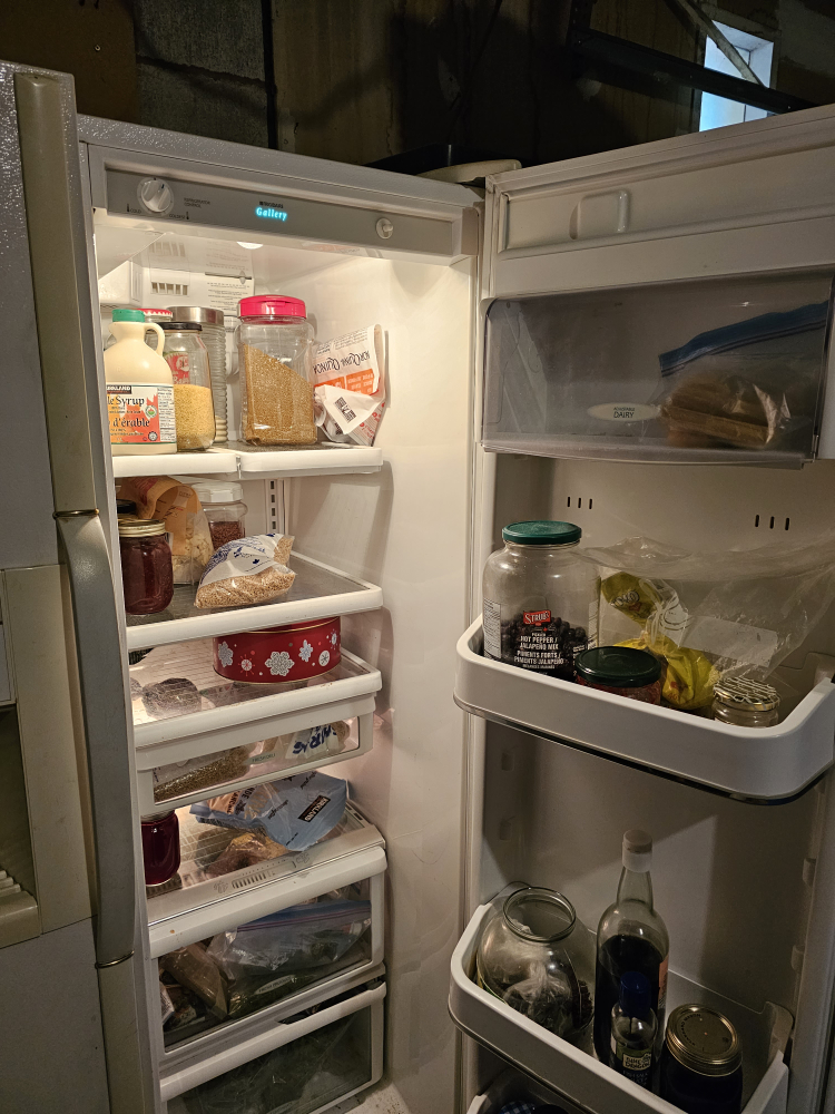 Fridge Freezer and ice and water dispenser - photo 5