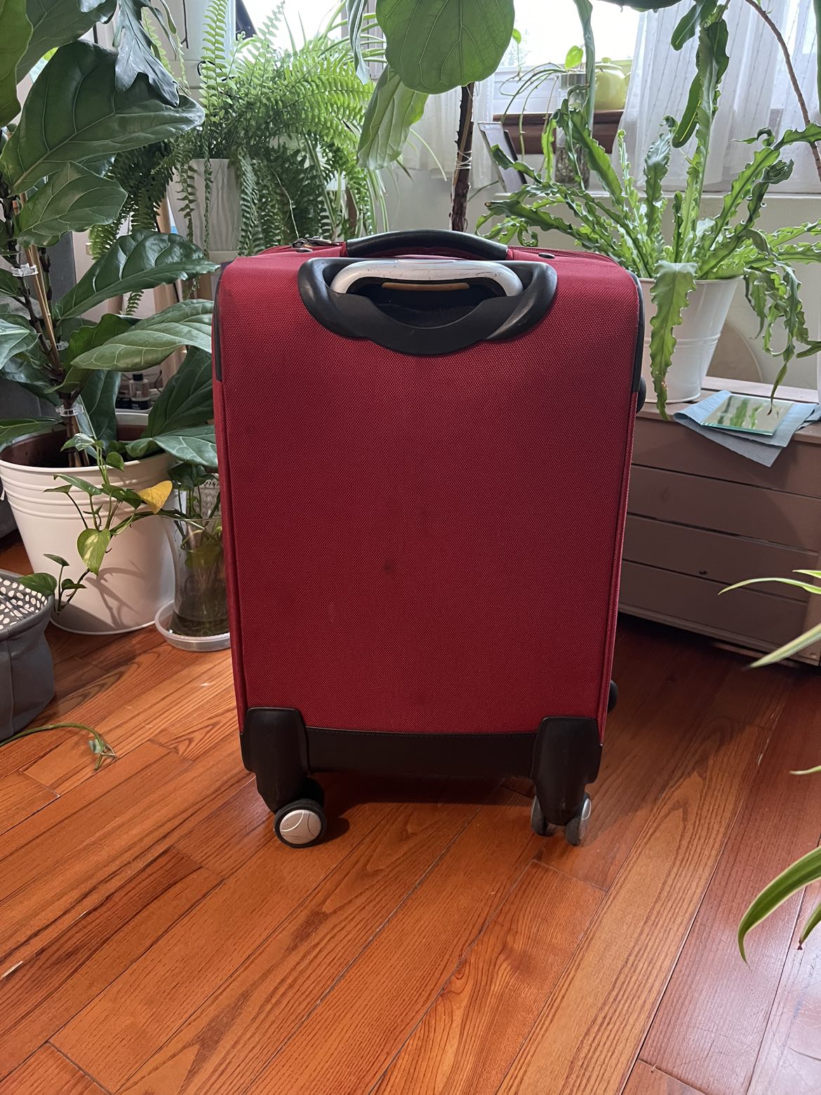 Carry on - standard size - photo 3