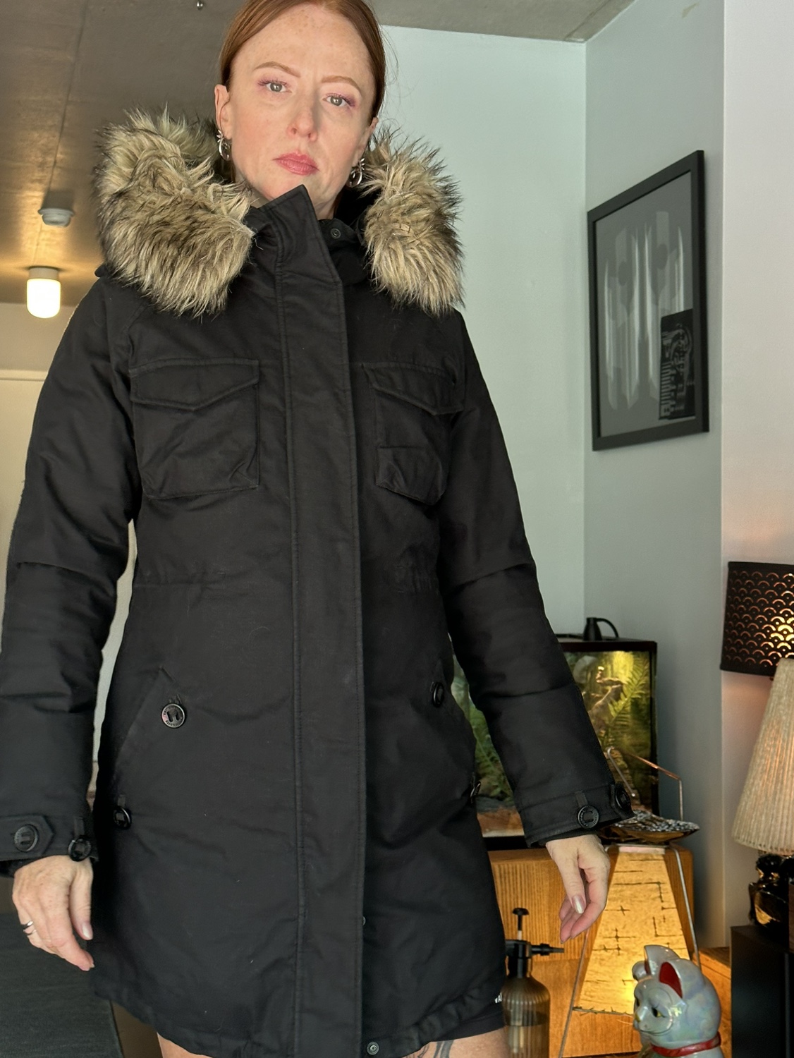 Aritzia Parka