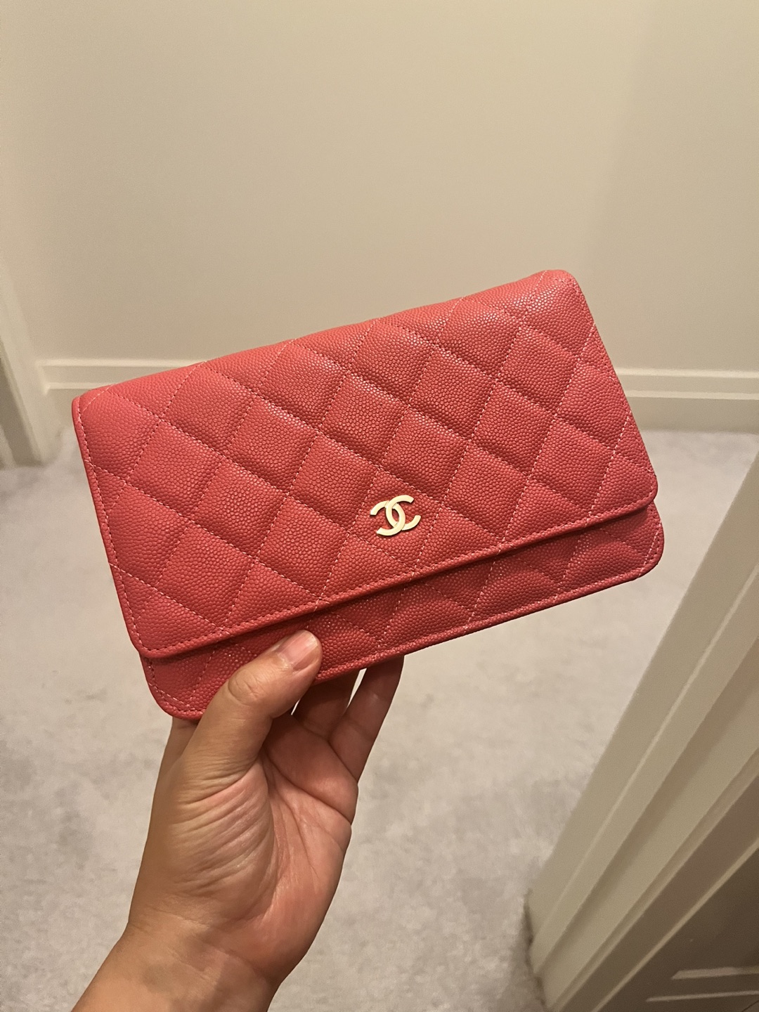 WOC cross body purse