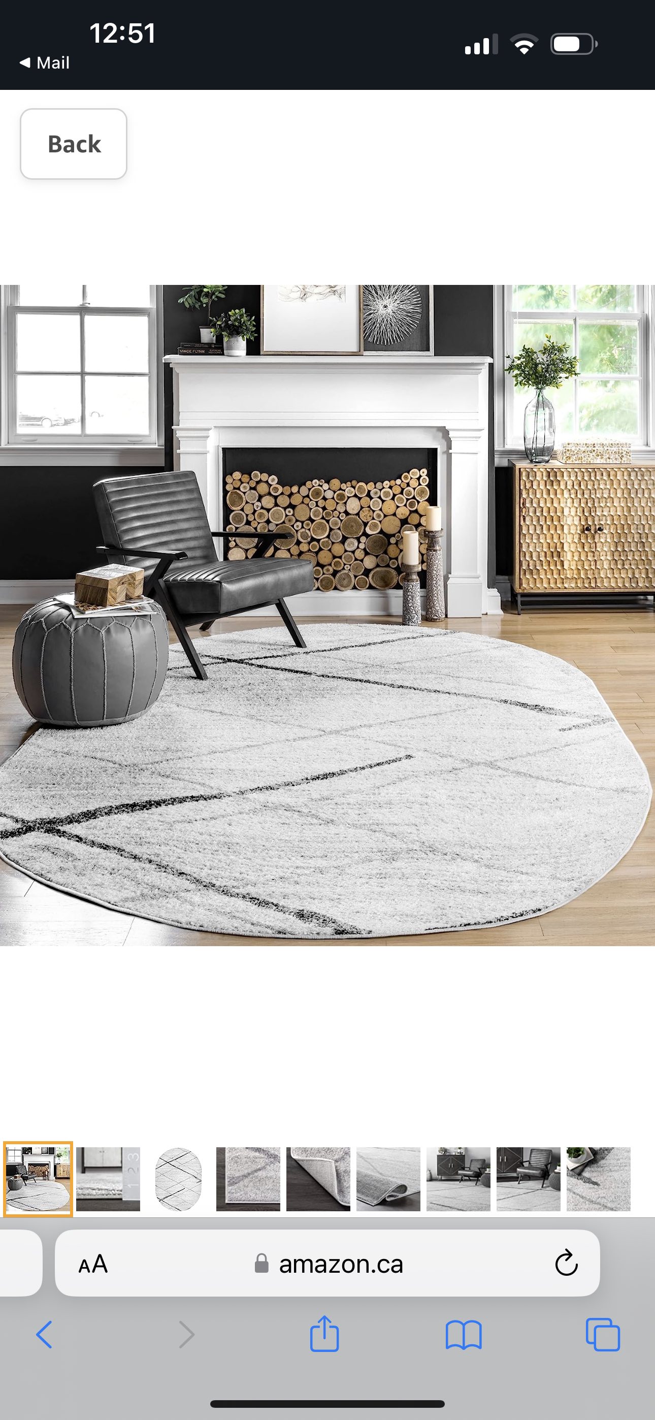 4’ x 6’ oval grey area rug