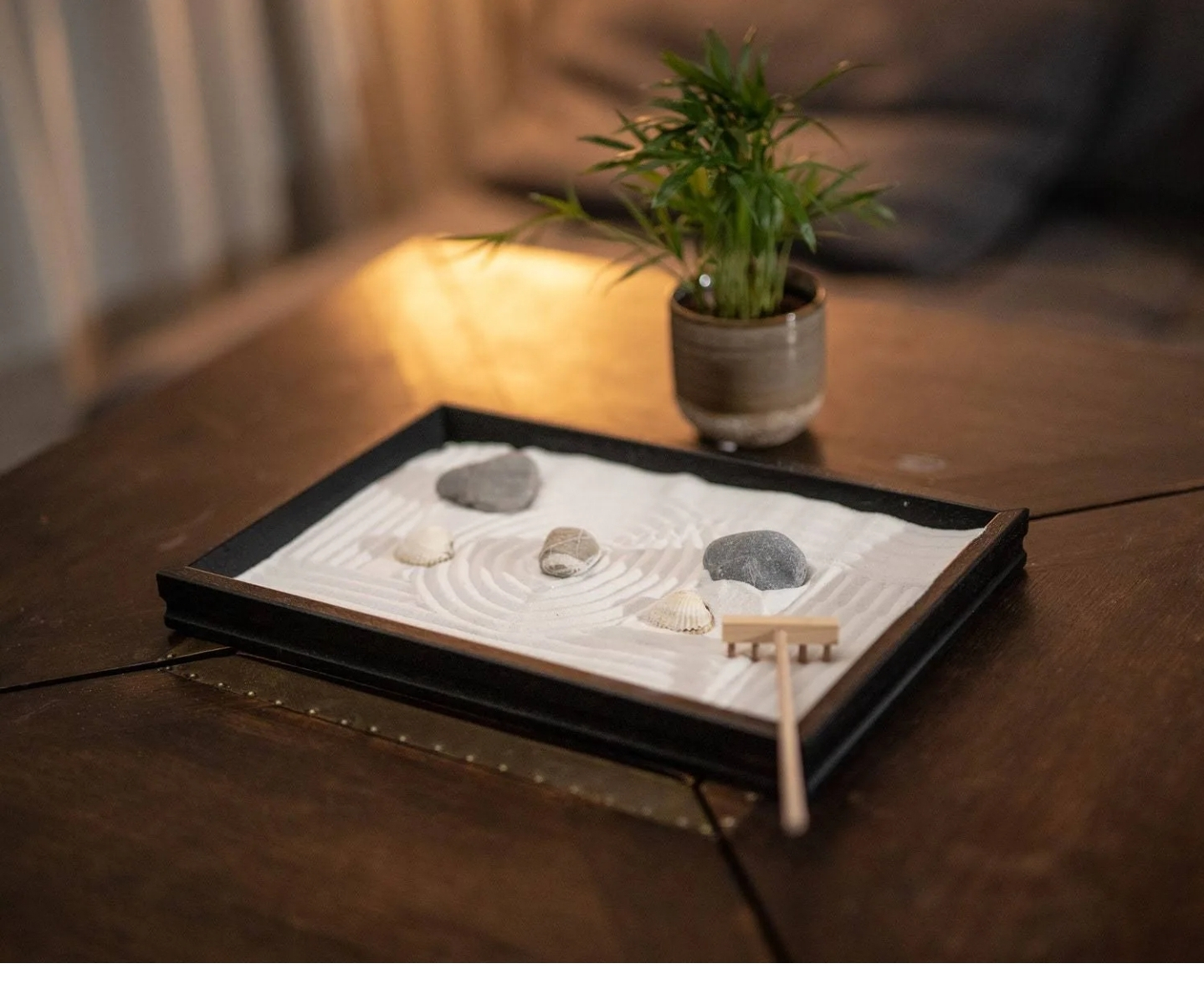 Mini Zen Garden