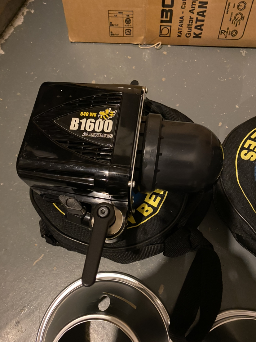 Alien Bees B1600 Camera Flash (Pair)