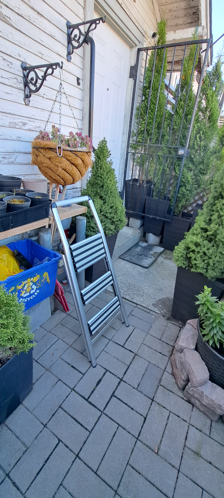 Step Ladder  - photo 2