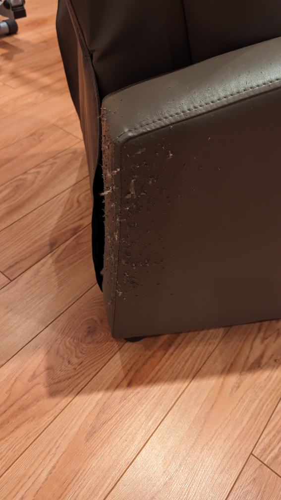 Free Reclining chair  image indicator(4)