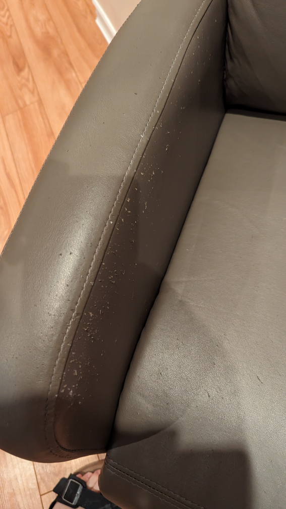 Free Reclining chair  image indicator(5)