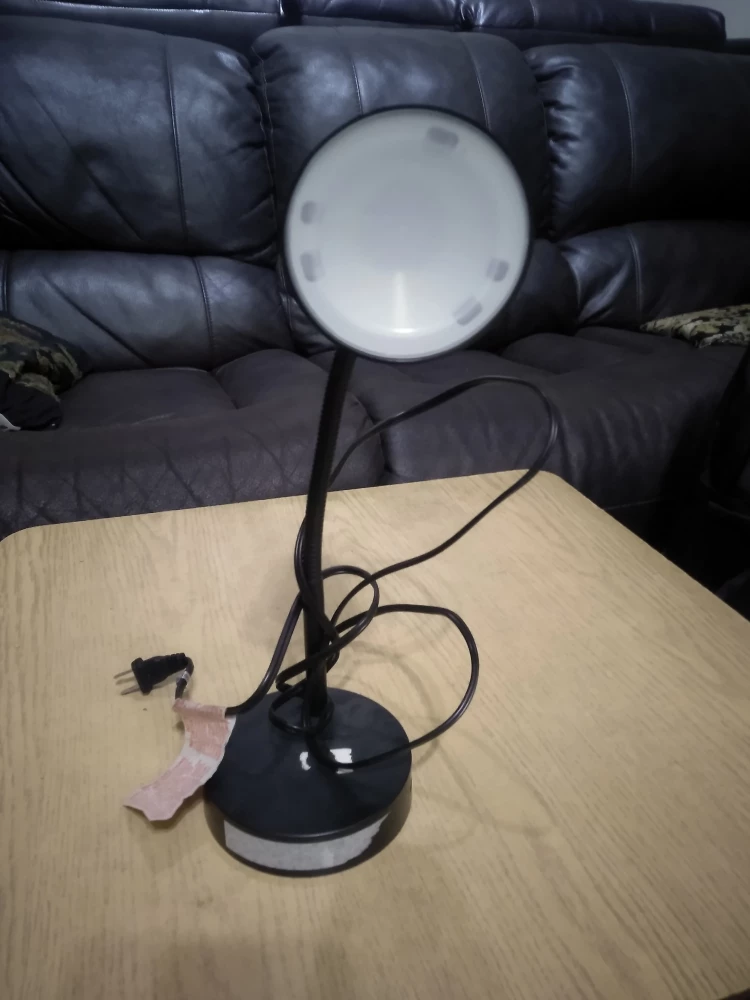 Study Lamp