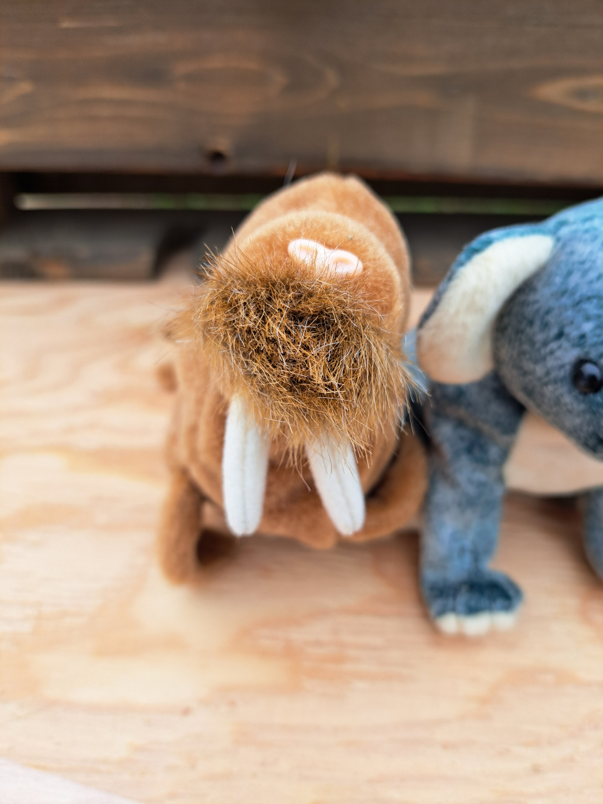 ty stuffy #freecycle thumbnail