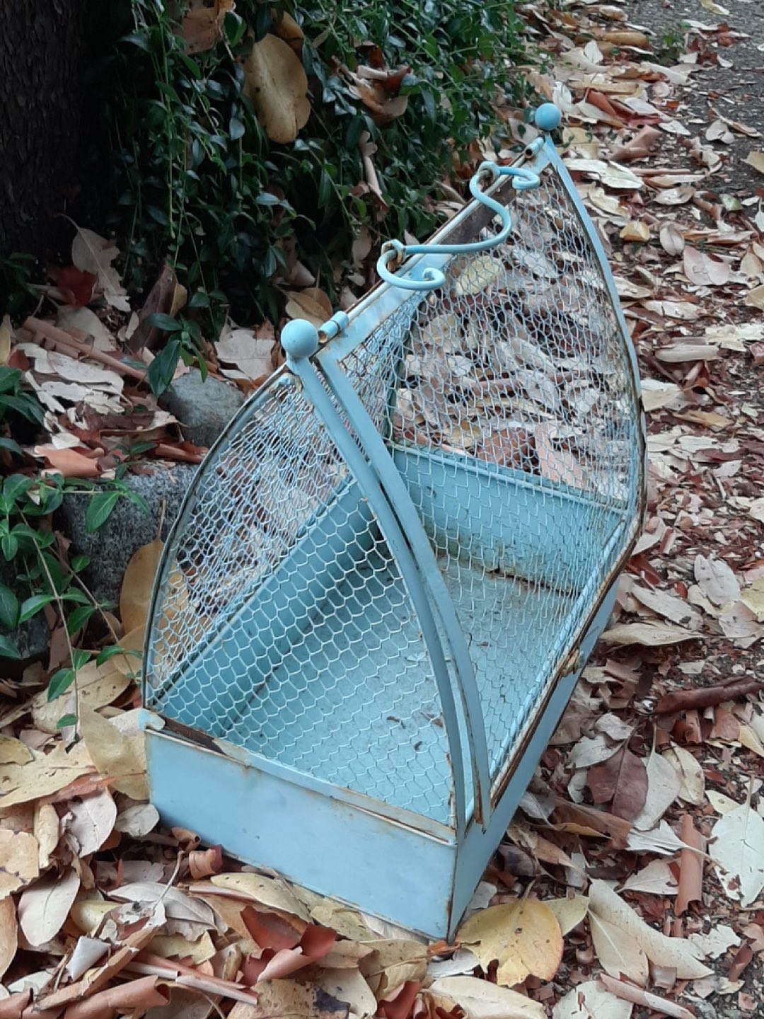 Vintage plant holder image indicator(4)