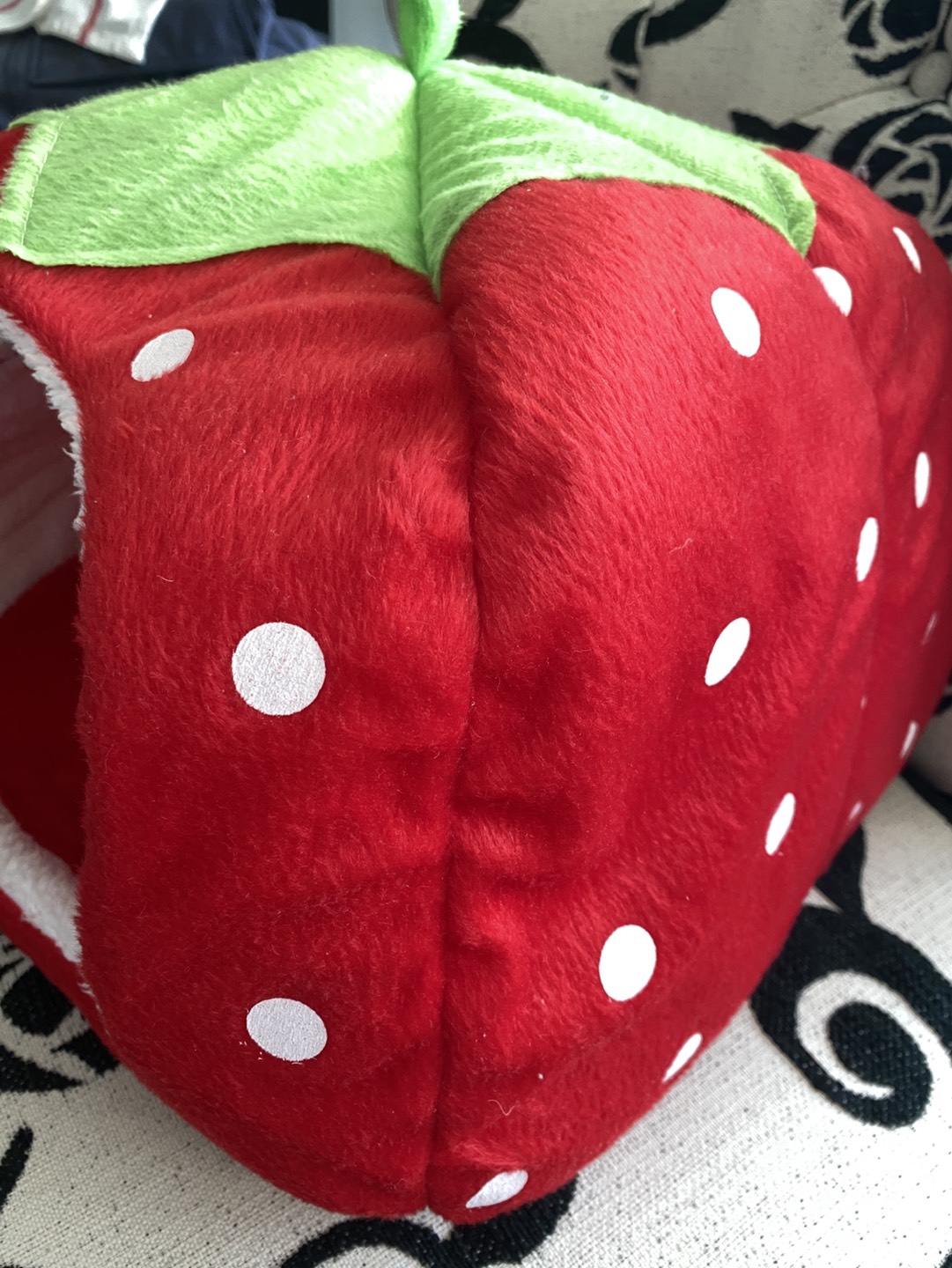 Free cat /puppy / small dog hut image indicator(4)