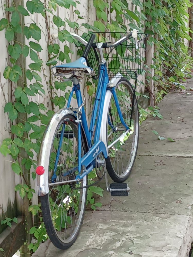 Vintage single speed with ULock / basket image indicator(5)