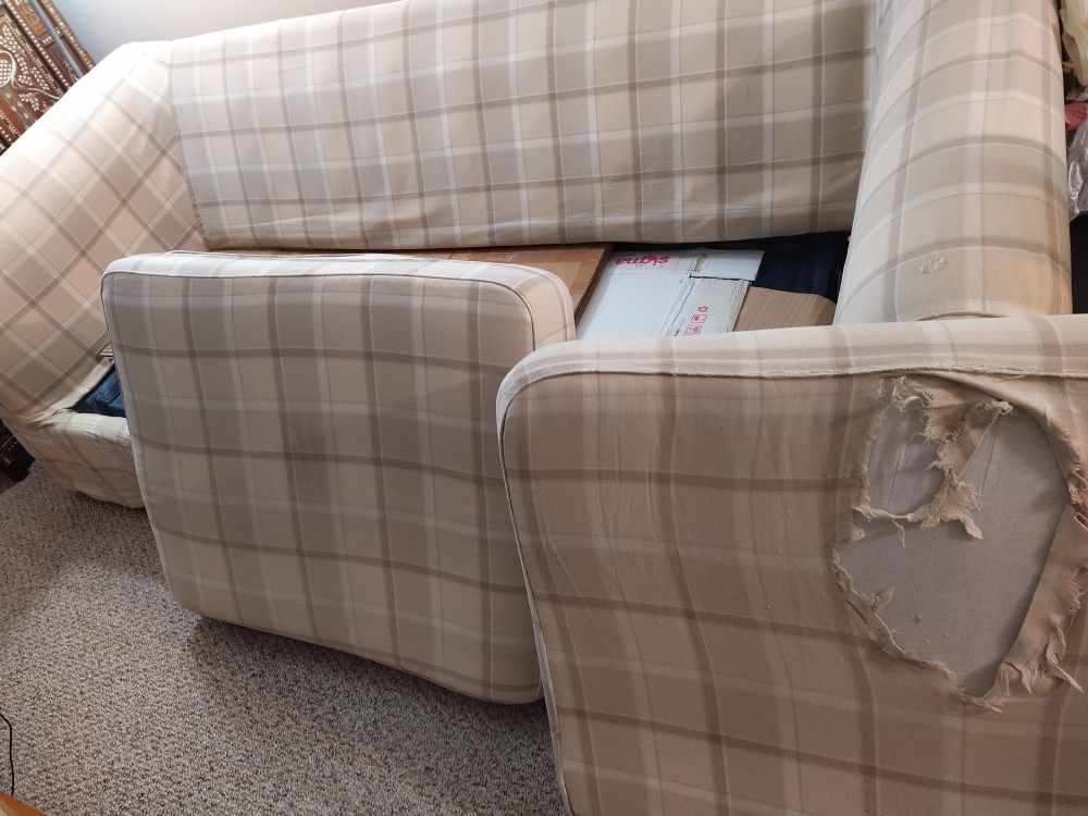 Anyone interested in an old sofa chair that opens into a bed? image indicator(8)