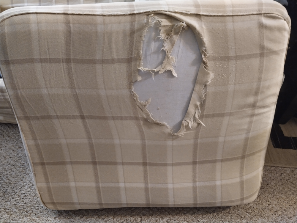 Anyone interested in an old sofa chair that opens into a bed? image indicator(9)