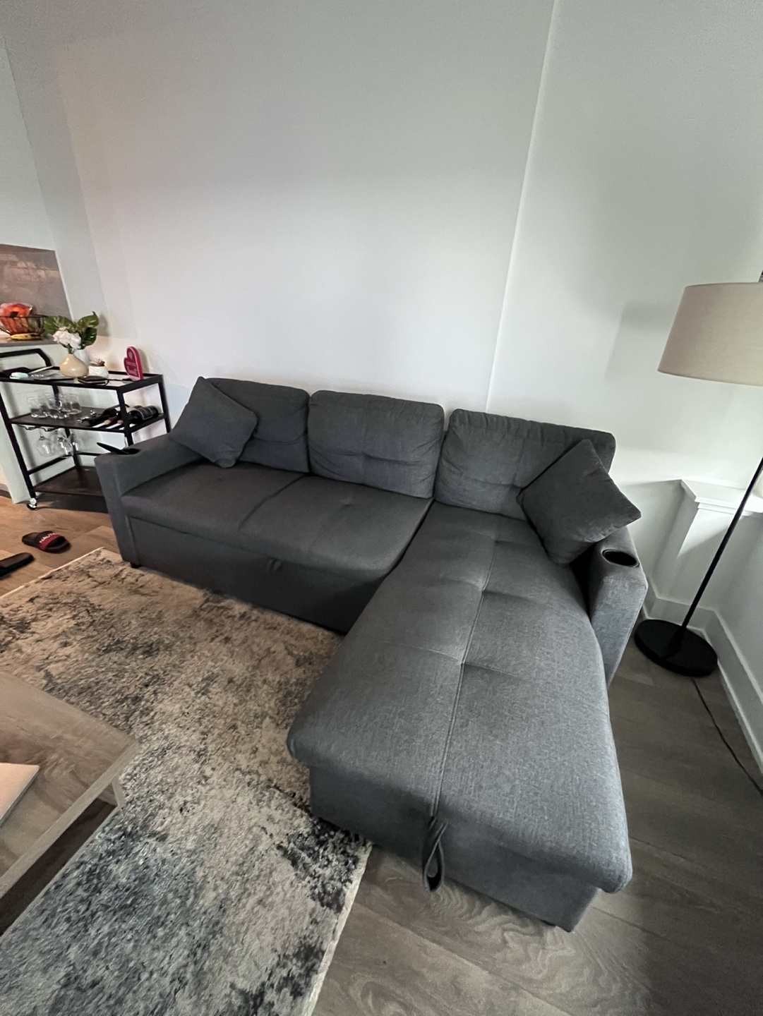 Pull out sleeper sofa 💚