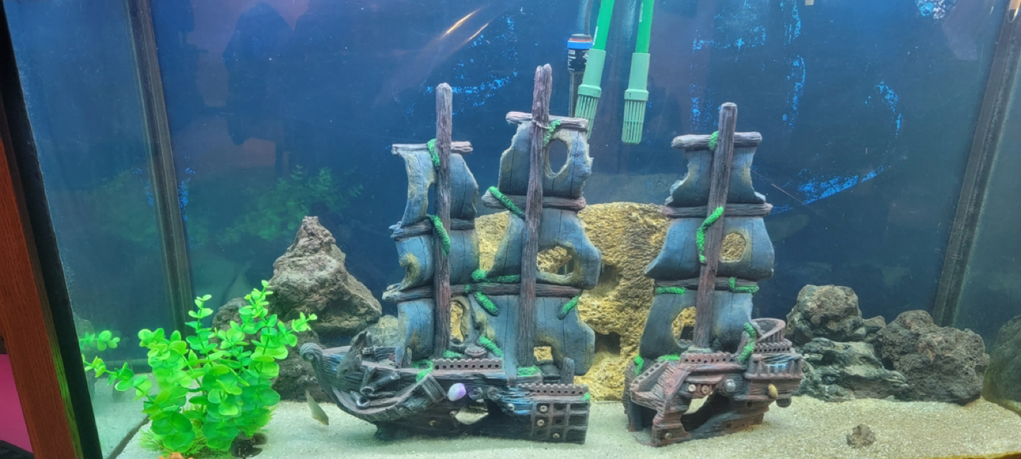 Pirate ship from aquarium