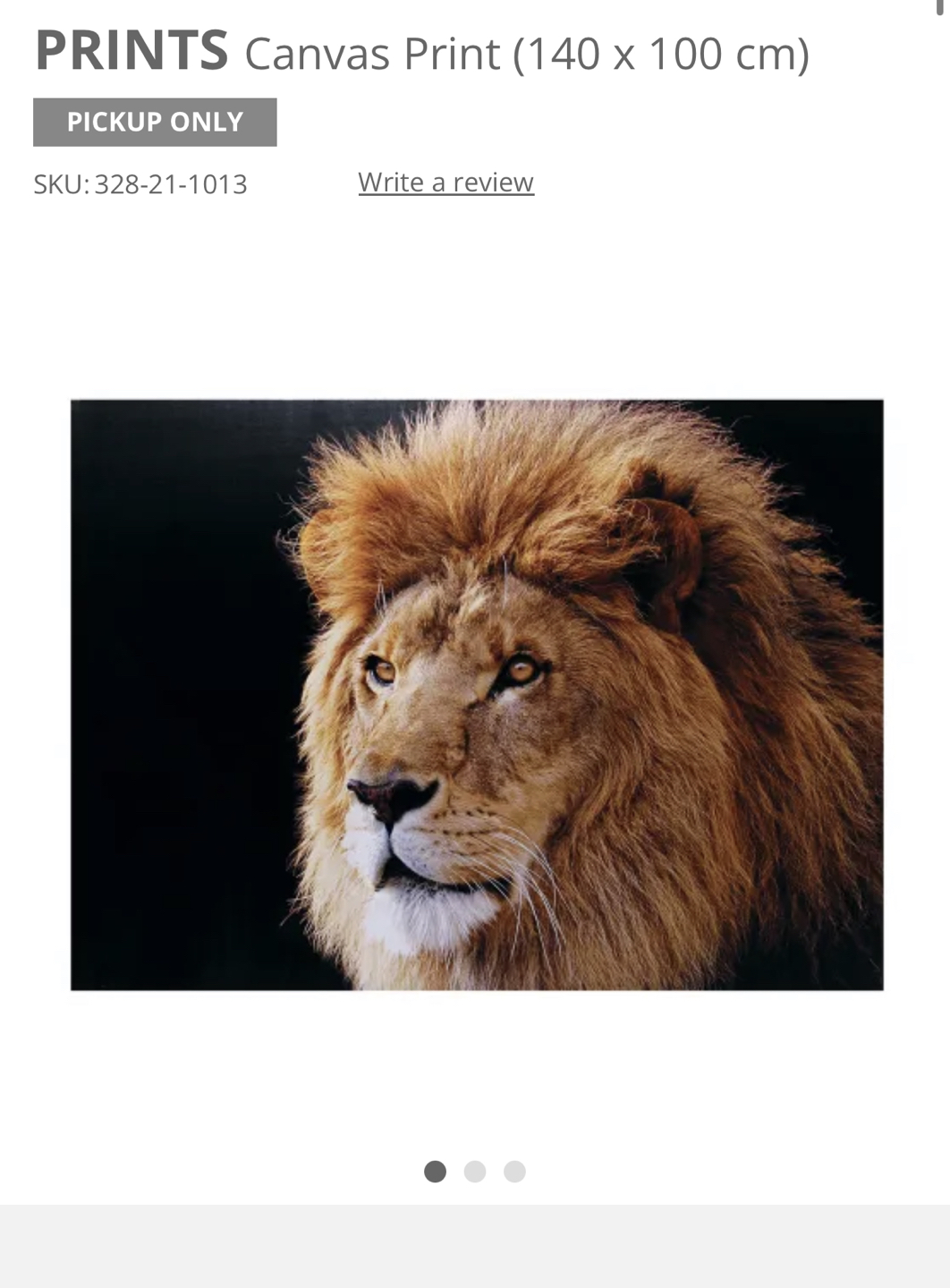 Lion Leo Inspired Wall Art - photo 4