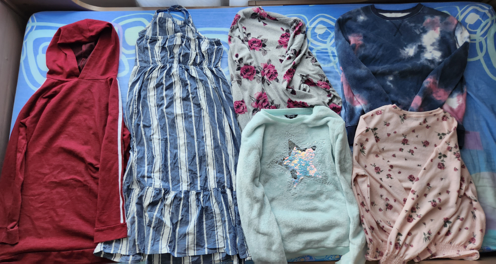 Kids/teen girls clothes (hoodies, pants, etc.) great condition