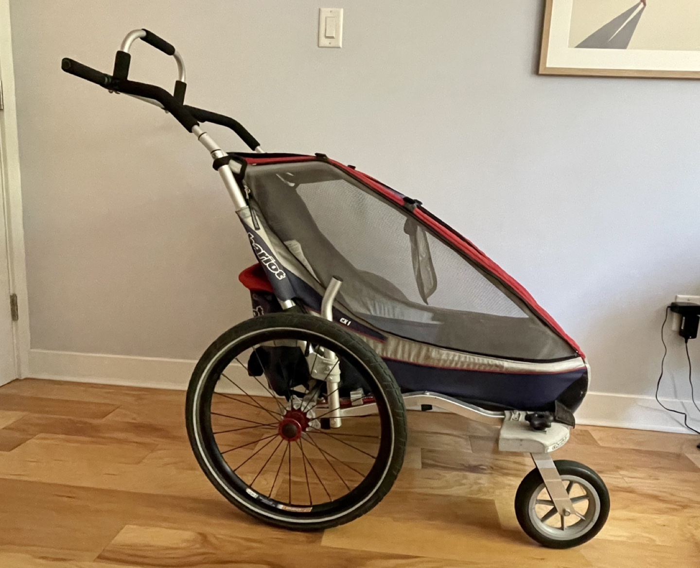 Chariot Carrier Bike Trailer
