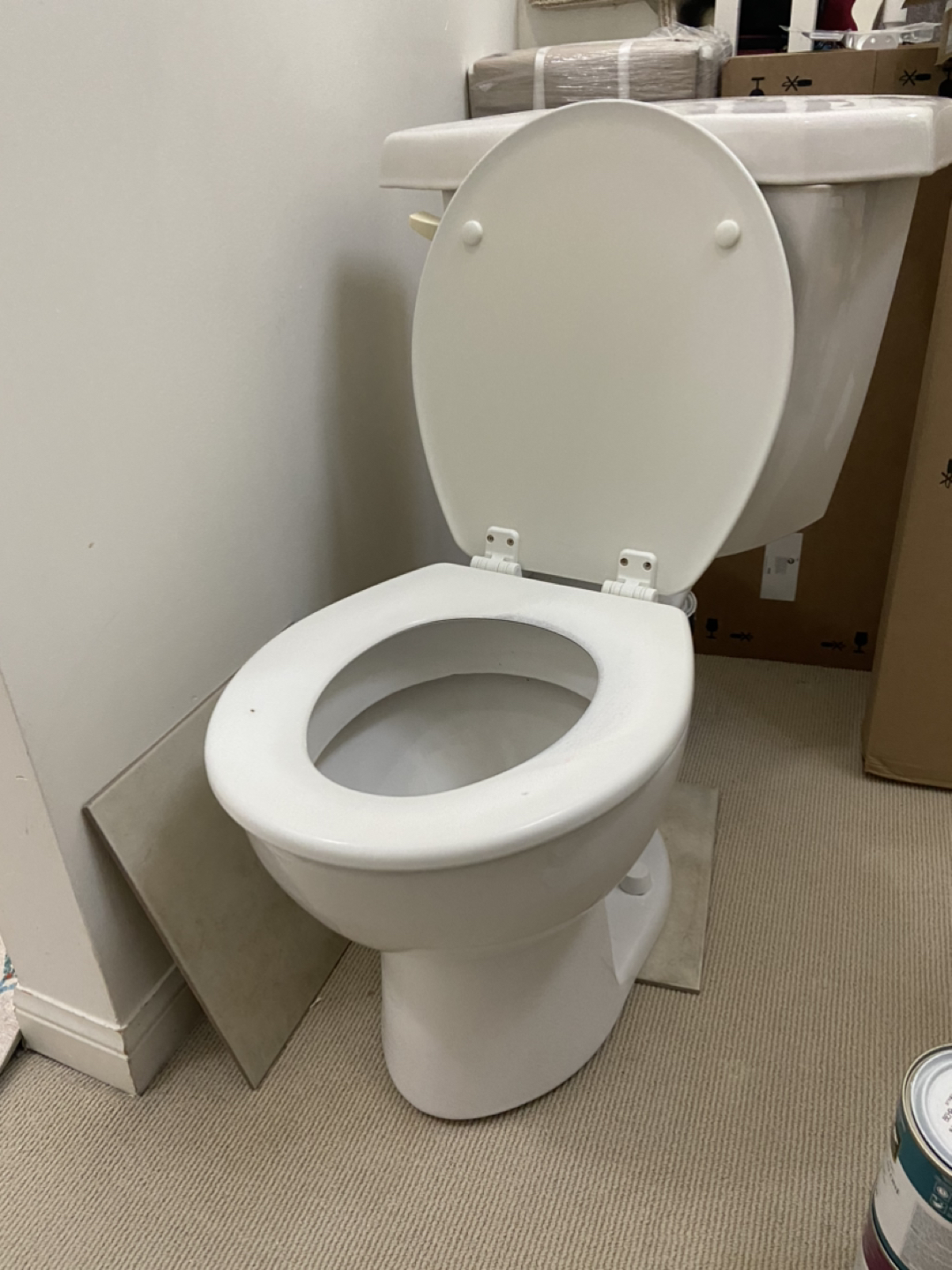 Bathroom Toilet