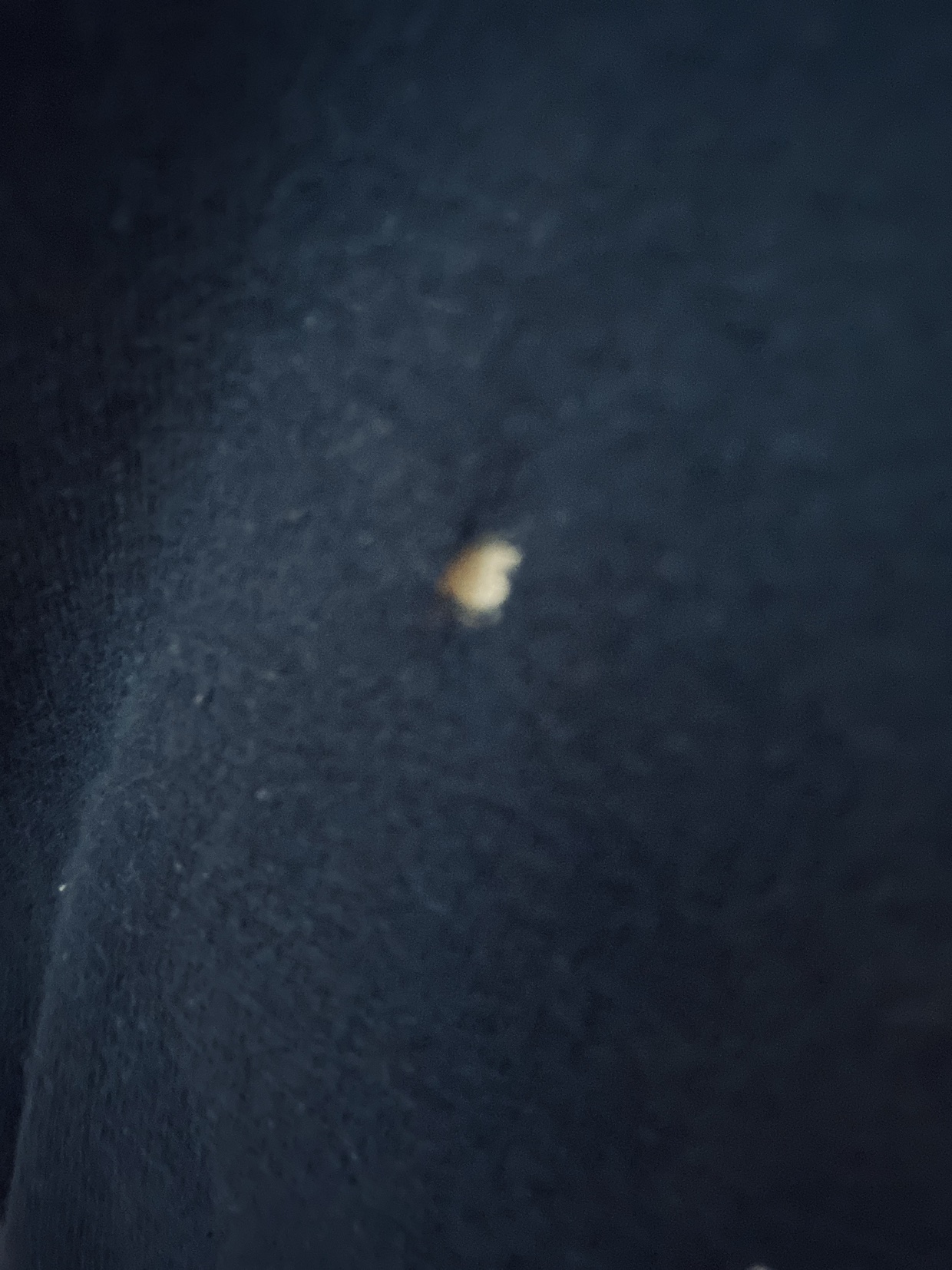 Marvel Comics T-shirt Venom image indicator(3)