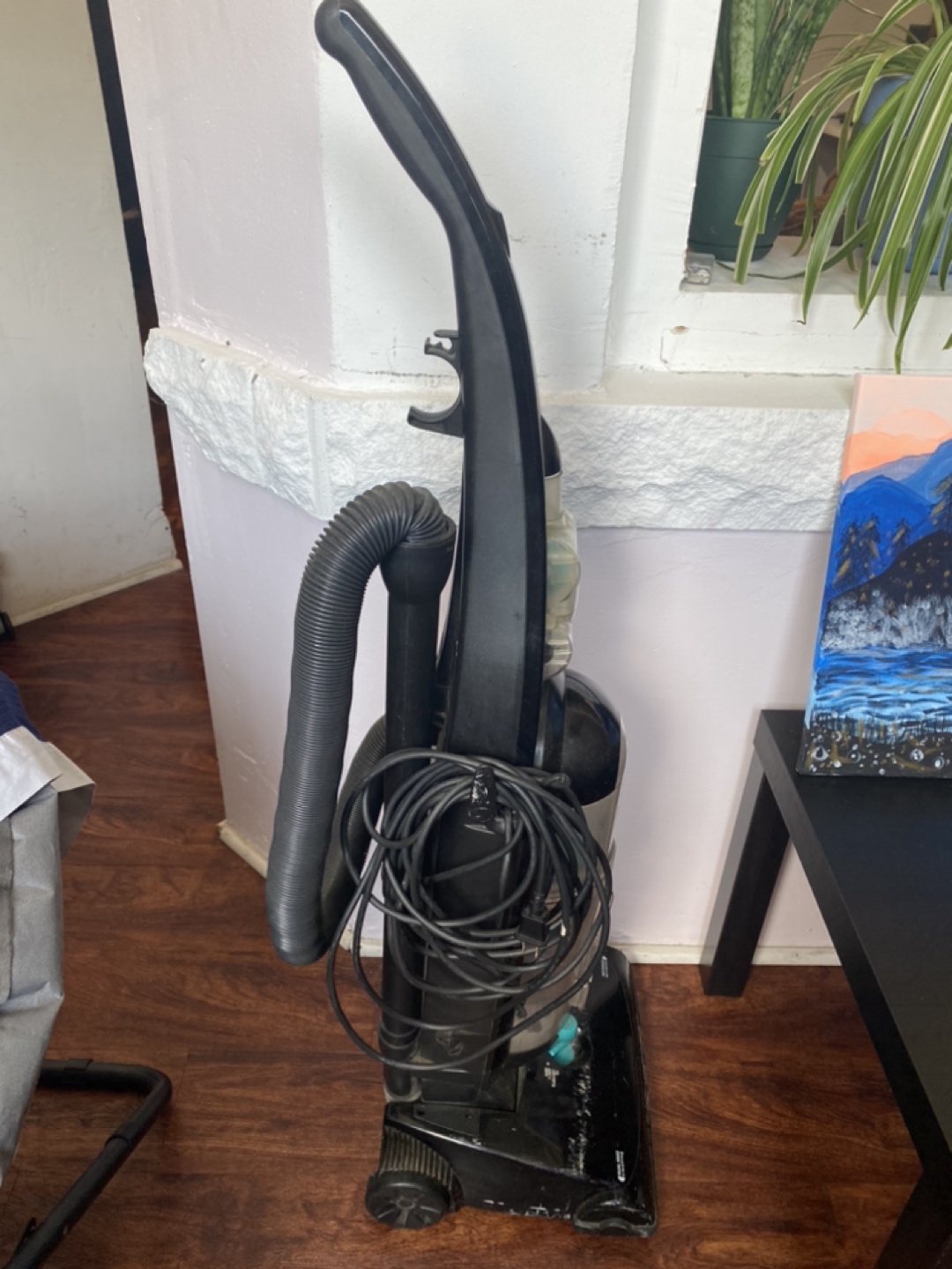 Bissell Helix Vacuum Cleaner - photo 3