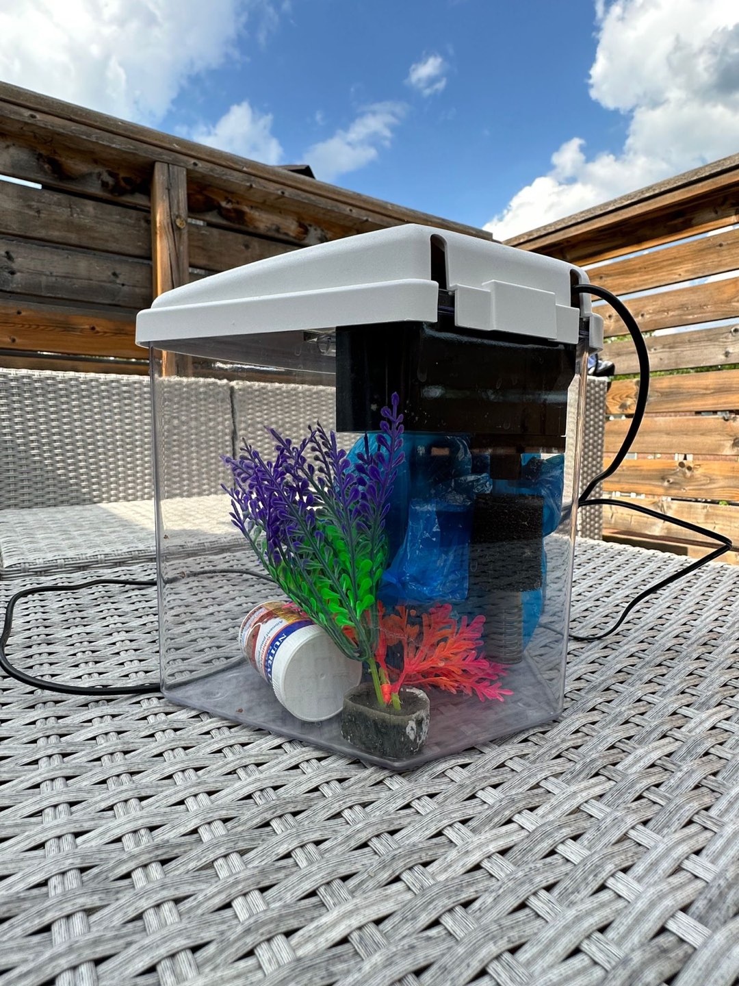 Small fish tank with accessories image indicator(3)